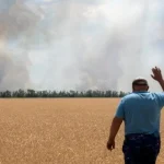 «Що не померзло, те посохло». Втрата врожаю на понад мільярд гривень. Фермери Херсонщини просять про допомогу