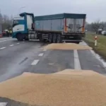 Україна отримує більші квоти на деякий агроекспорт. У чому вигода і яким є компроміс із ЄС?
